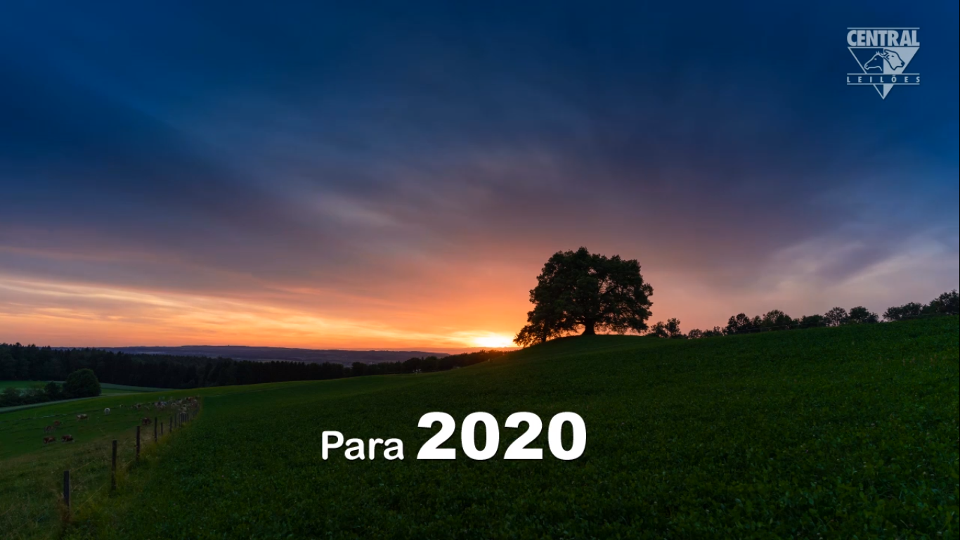 LembranÃ§as de 2019 e (Ã³timos) desejos para 2020